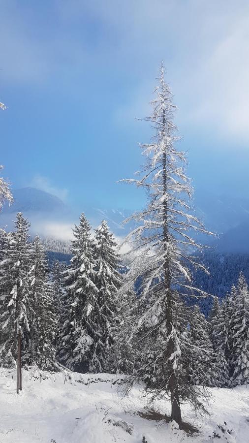 Auszeit Chalets Bschlabs Exteriör bild